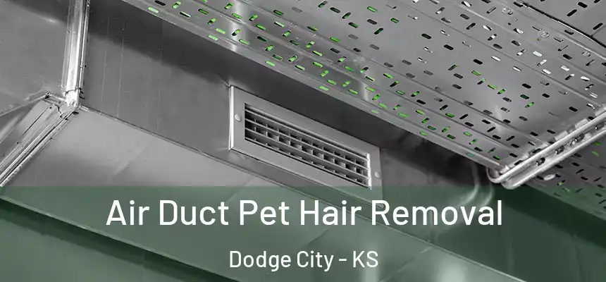 Air Duct Pet Hair Removal Dodge City - KS