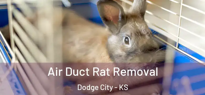  Air Duct Rat Removal Dodge City - KS
