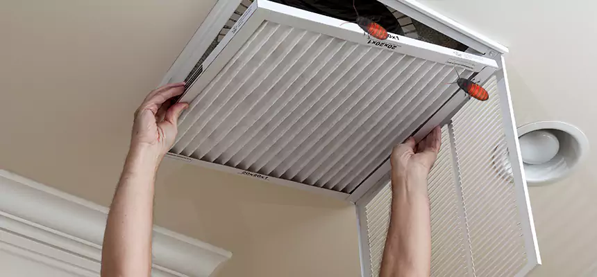 Preventive Cockroach-Proofing for Ducts in Dodge City