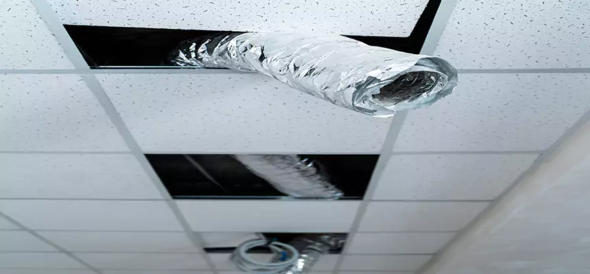 Affordable HVAC Sanitizing After Pest Removal in Dodge City