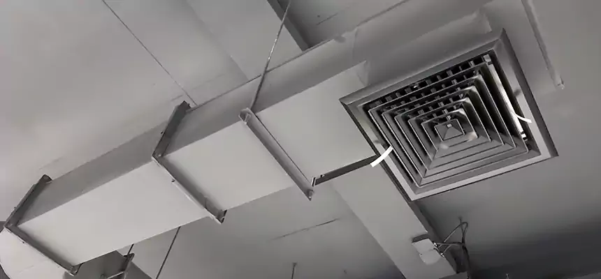 Our Pest Removal From Ducts Services in Dodge City, KS