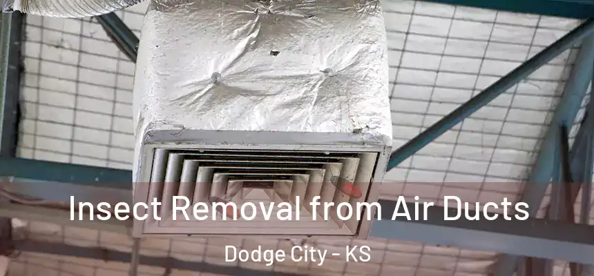  Insect Removal from Air Ducts Dodge City - KS