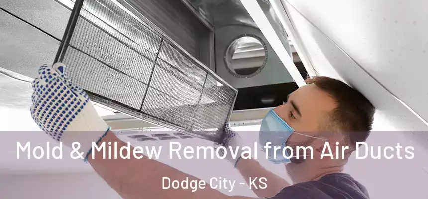  Mold & Mildew Removal from Air Ducts Dodge City - KS