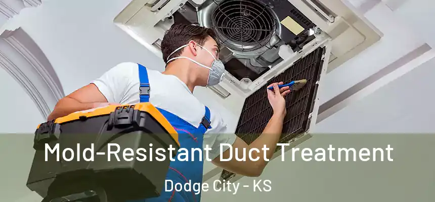  Mold-Resistant Duct Treatment Dodge City - KS