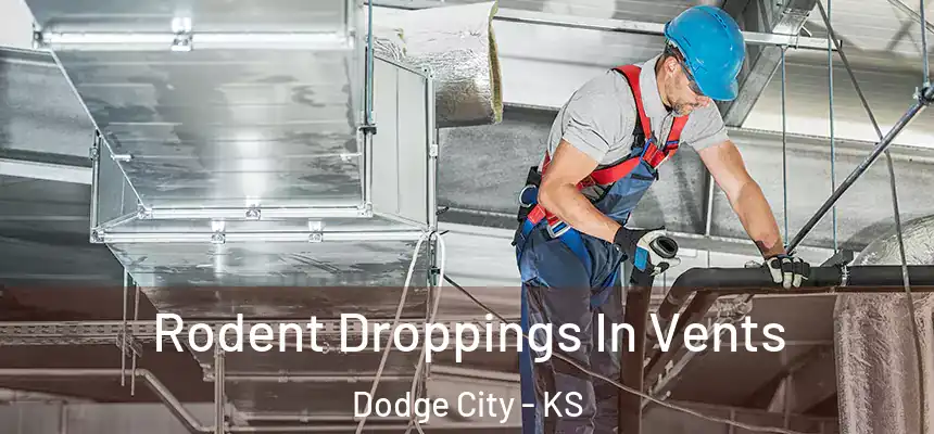 Rodent Droppings In Vents Dodge City - KS