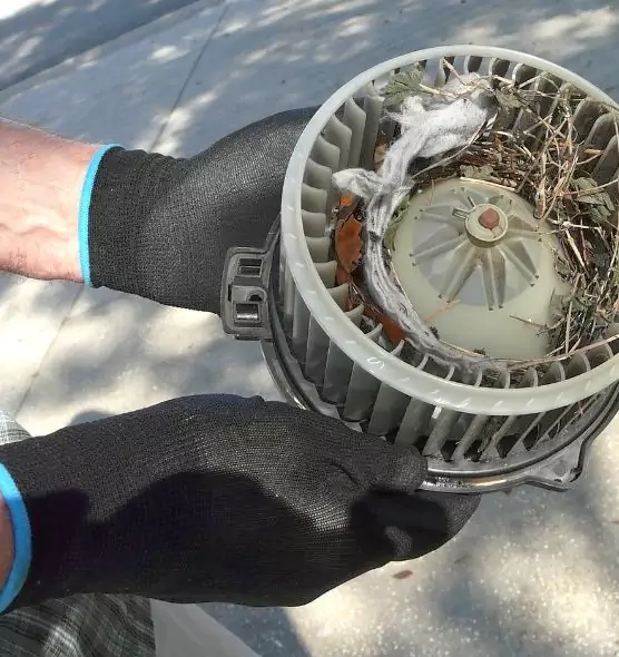 About Air Duct Mice Removal in Dodge City, KS